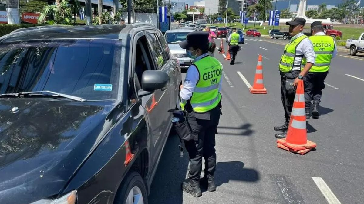 El VMT Ha Aplicado 15 038 Multas Al Transporte Colectivo En Lo Que Va