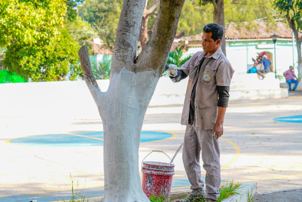 Alcald A De Santa Ana Ejecuta Trabajos De Mejora En El Parque Santa Luc A