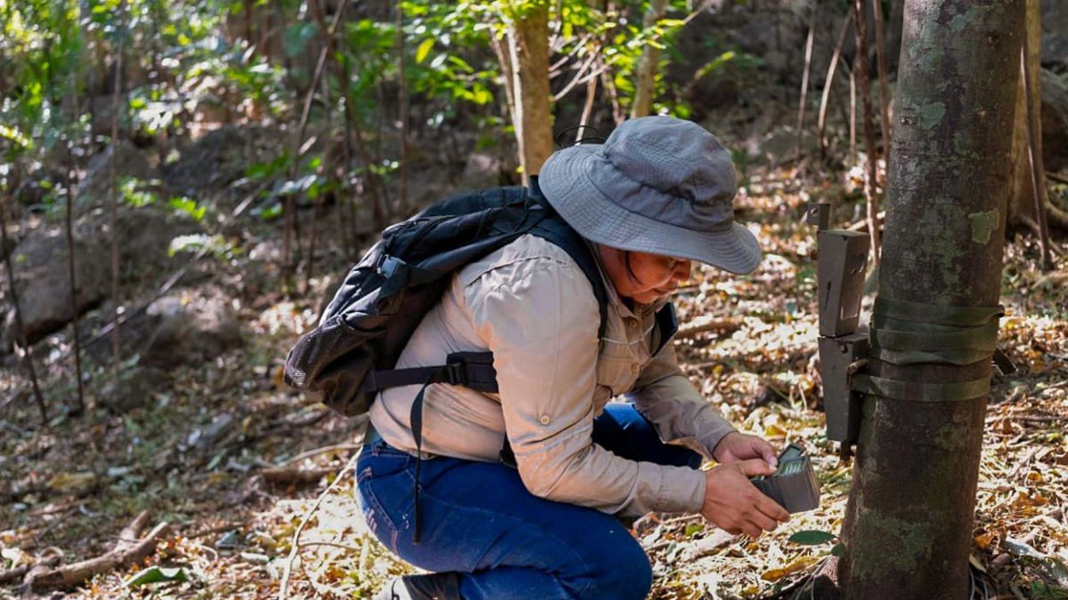 El Ministerio De Medio Ambiente Instala M S C Maras Trampa En Reas