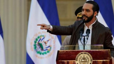 Gobierno del presidente Nayib Bukele