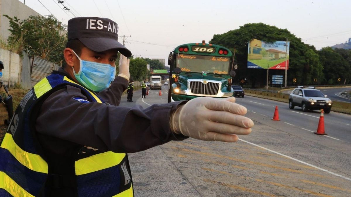 Bus