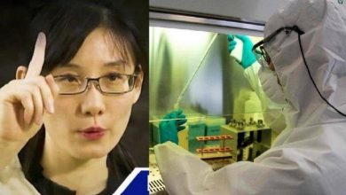 Según el informe, el SARS-CoV-2 es «un producto de laboratorio creado utilizando los coronavirus de murciélago ZC45 y/o ZXC21 como plantilla