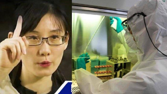 Según el informe, el SARS-CoV-2 es «un producto de laboratorio creado utilizando los coronavirus de murciélago ZC45 y/o ZXC21 como plantilla