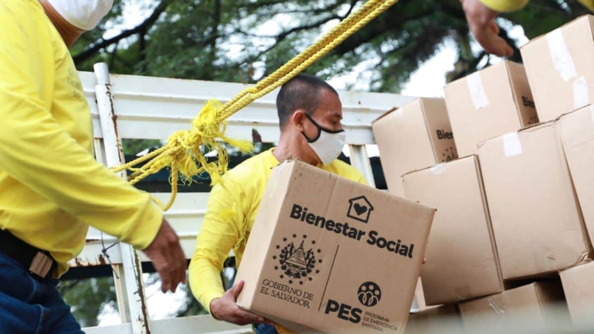 distribución paquetes alimenticios