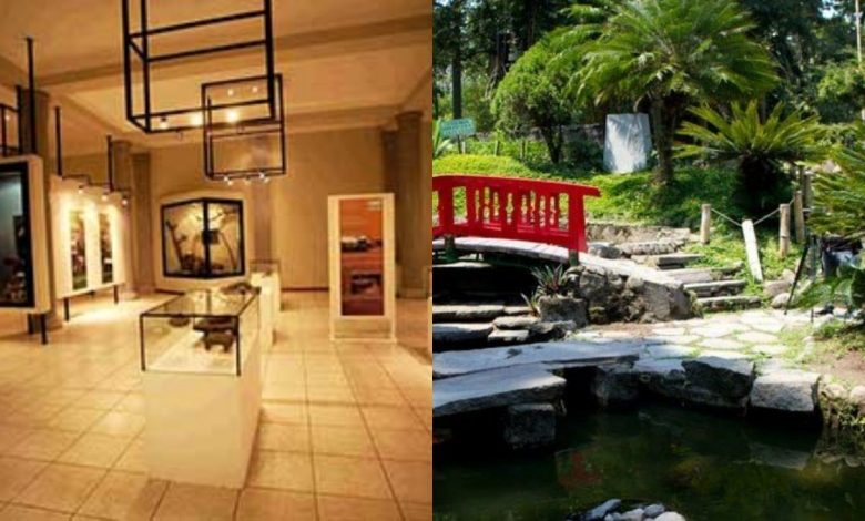 Museos y parques