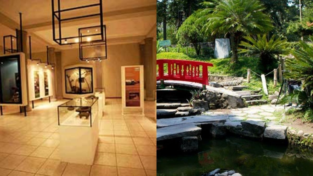 Museos y parques
