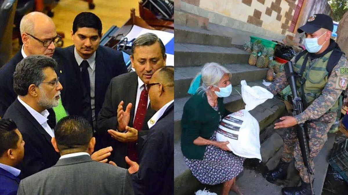 Diputados