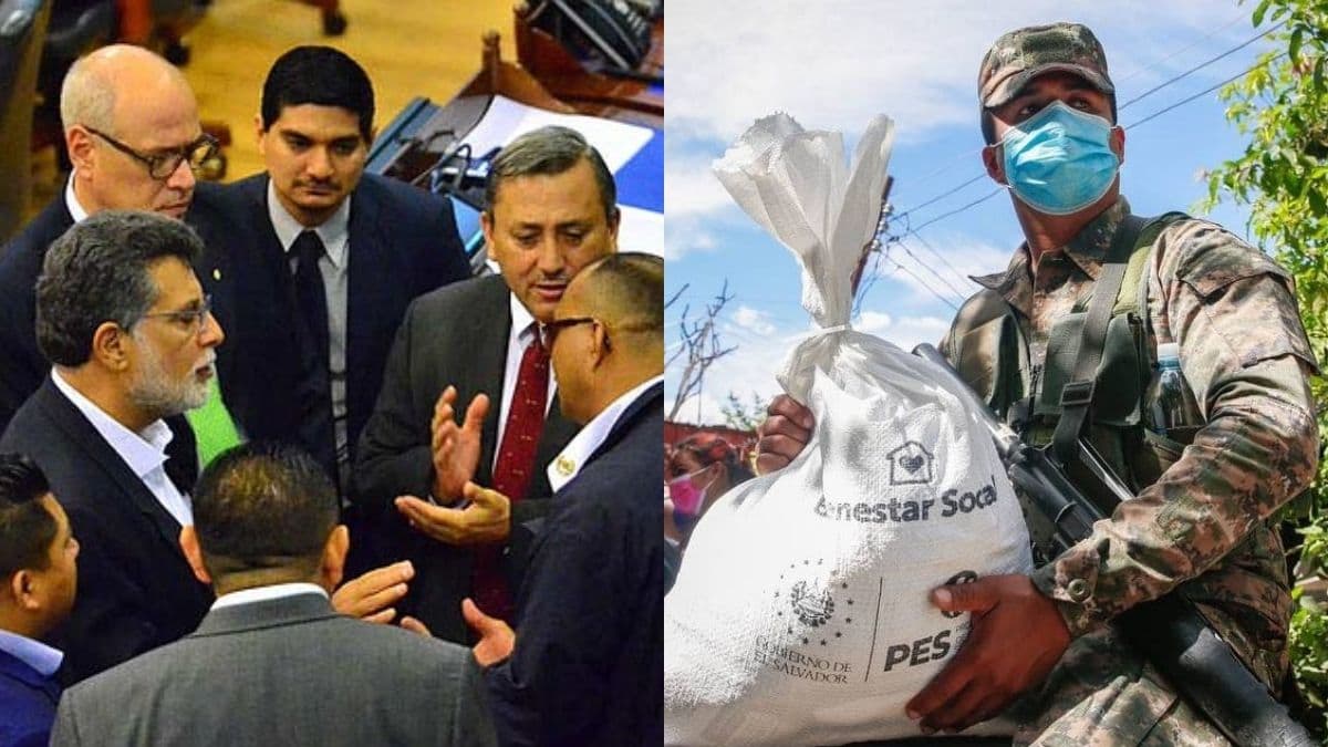Diputados Fuerza Armada