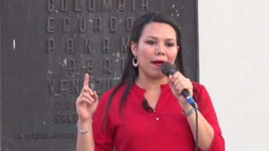 FMLN DIPUTADA