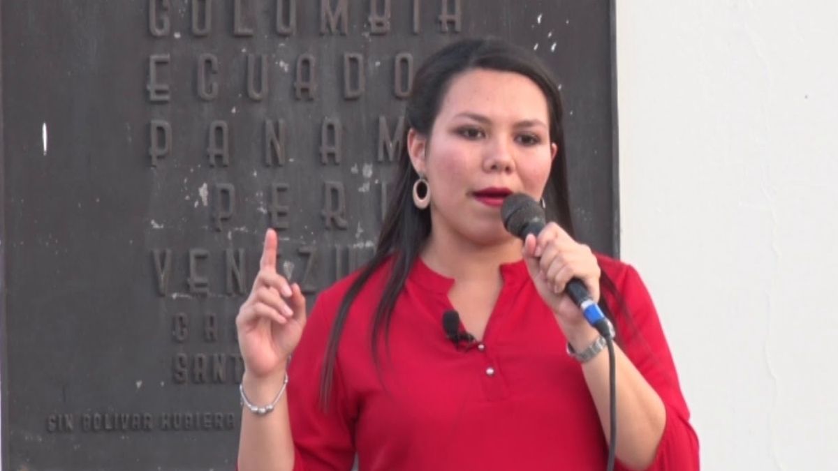 FMLN DIPUTADA