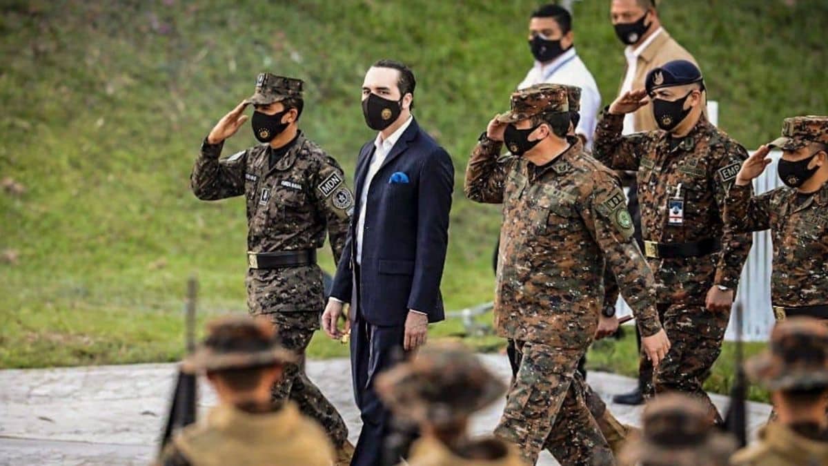 NAYIB MILITARES