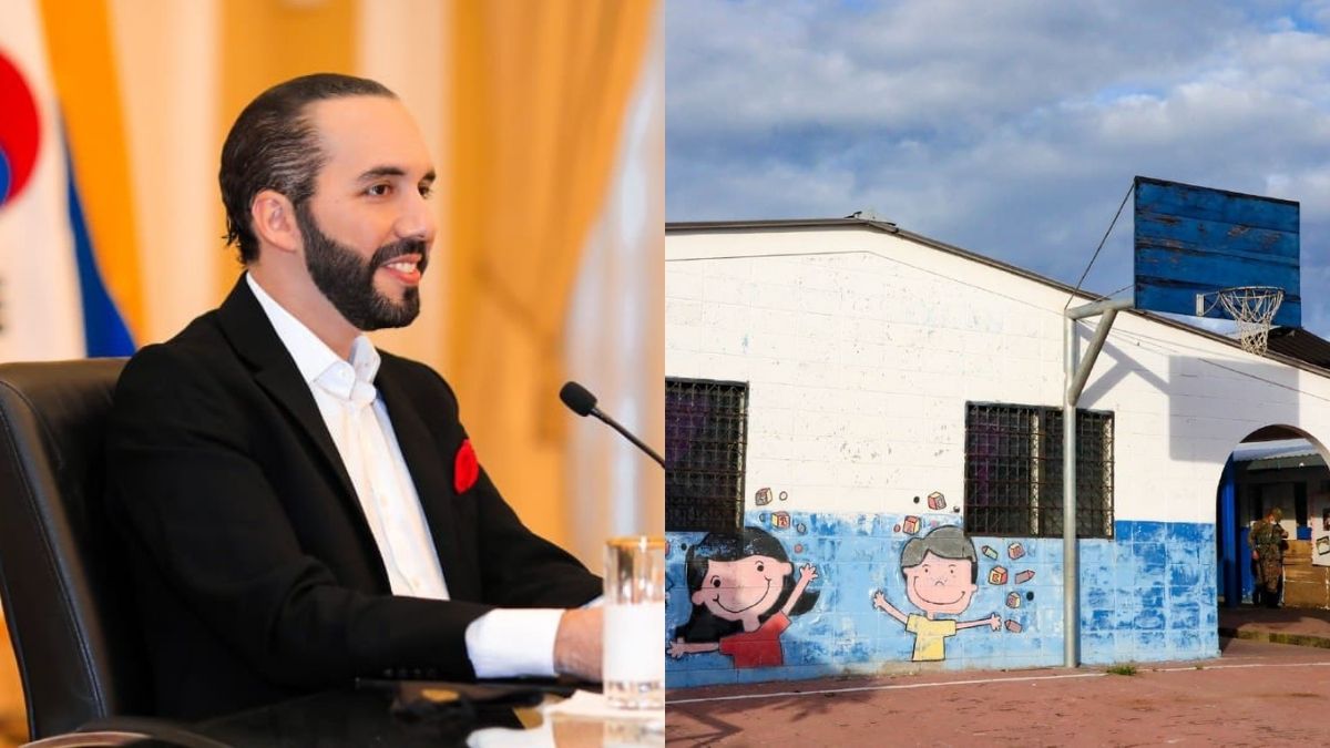 Nayib moderno