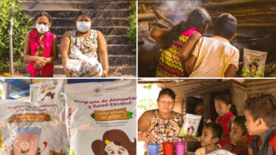 Ayuda alimentaria