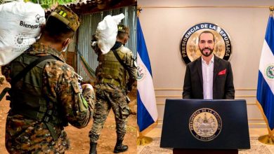 Nayib Presidente