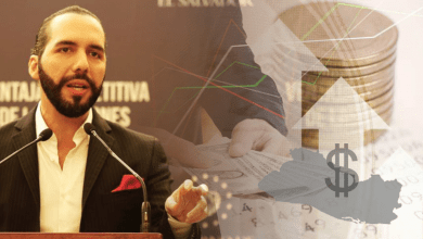 Nayib bukele inversión privada
