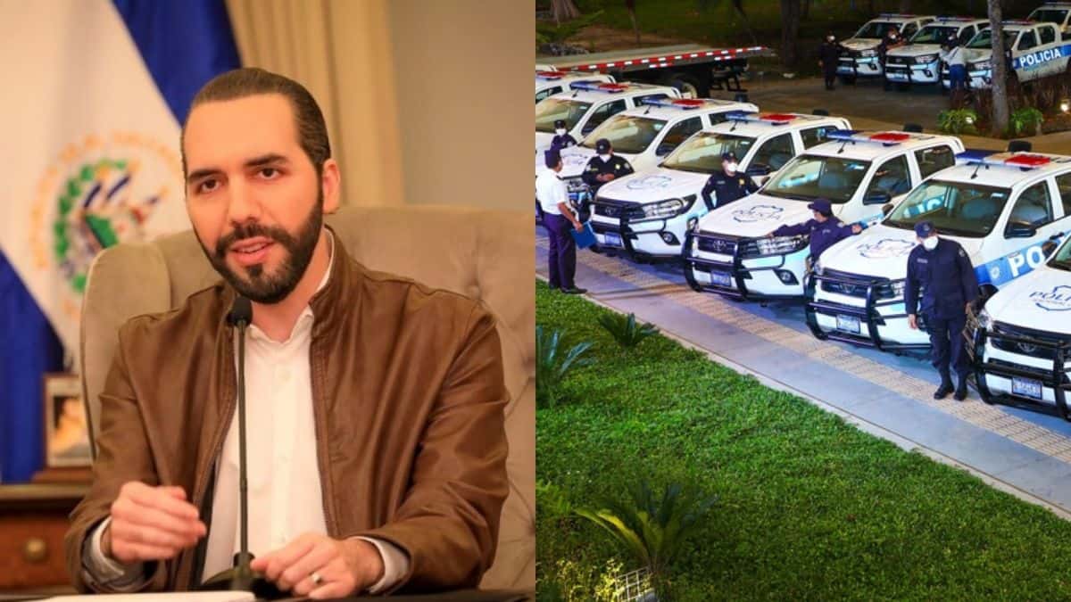 Nayib seguridad