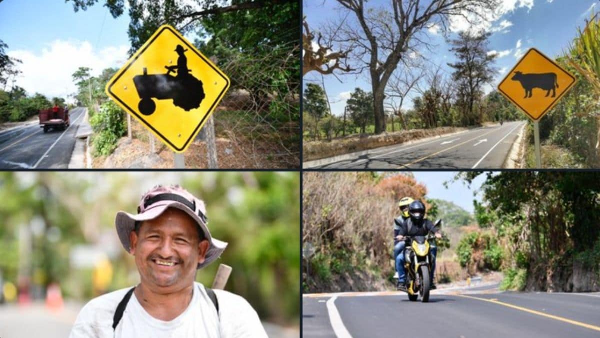 Obra vial