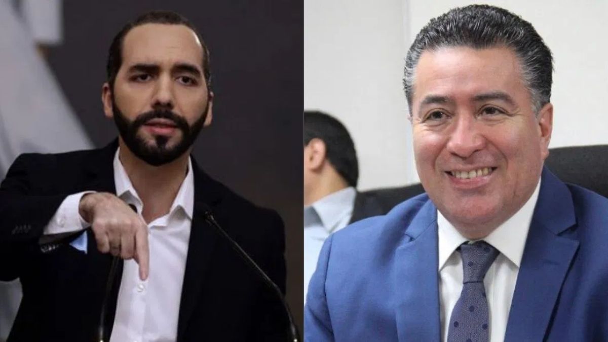 Portillo y Nayib