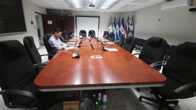 Suspende diputados