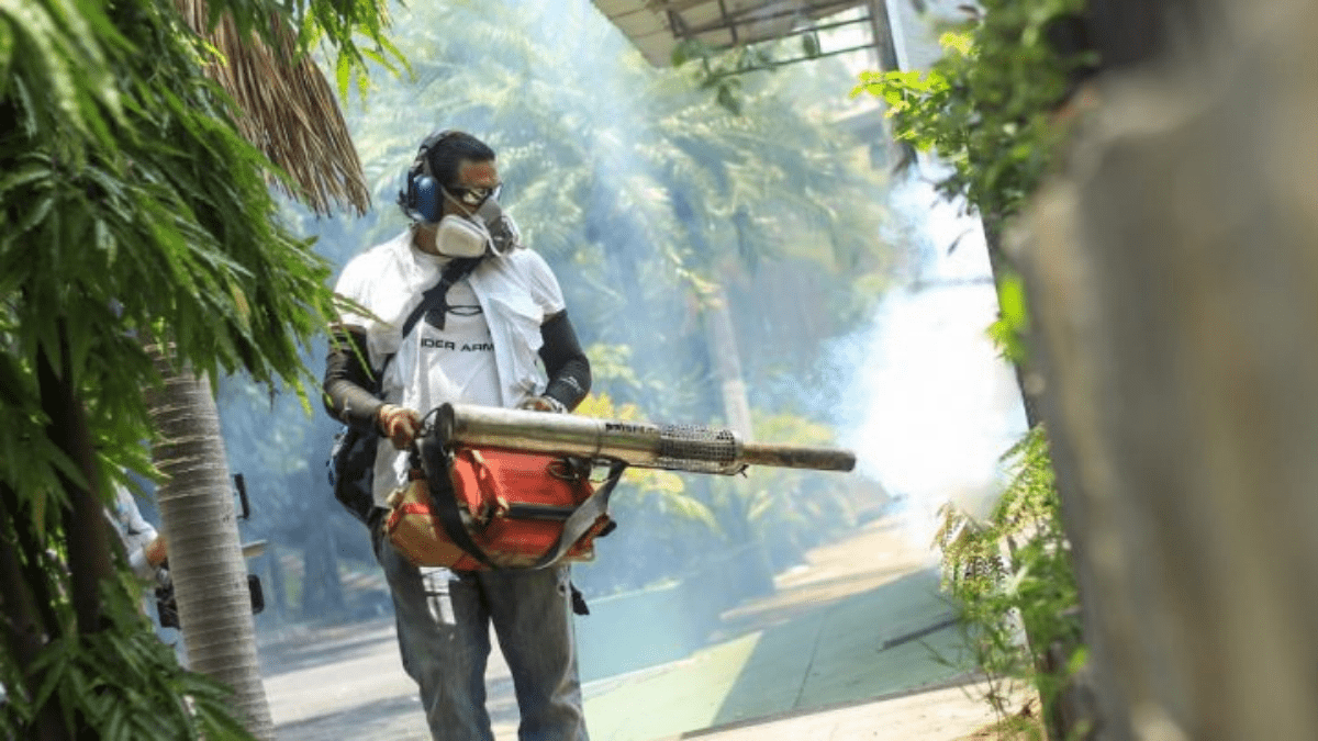 fumigación contra zancudos