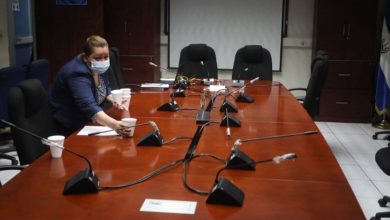 Diputados de la Asamblea