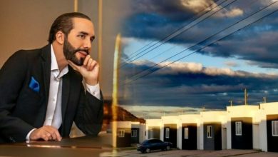 Nayib Bukele Viviendas