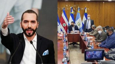 Nayib diputados