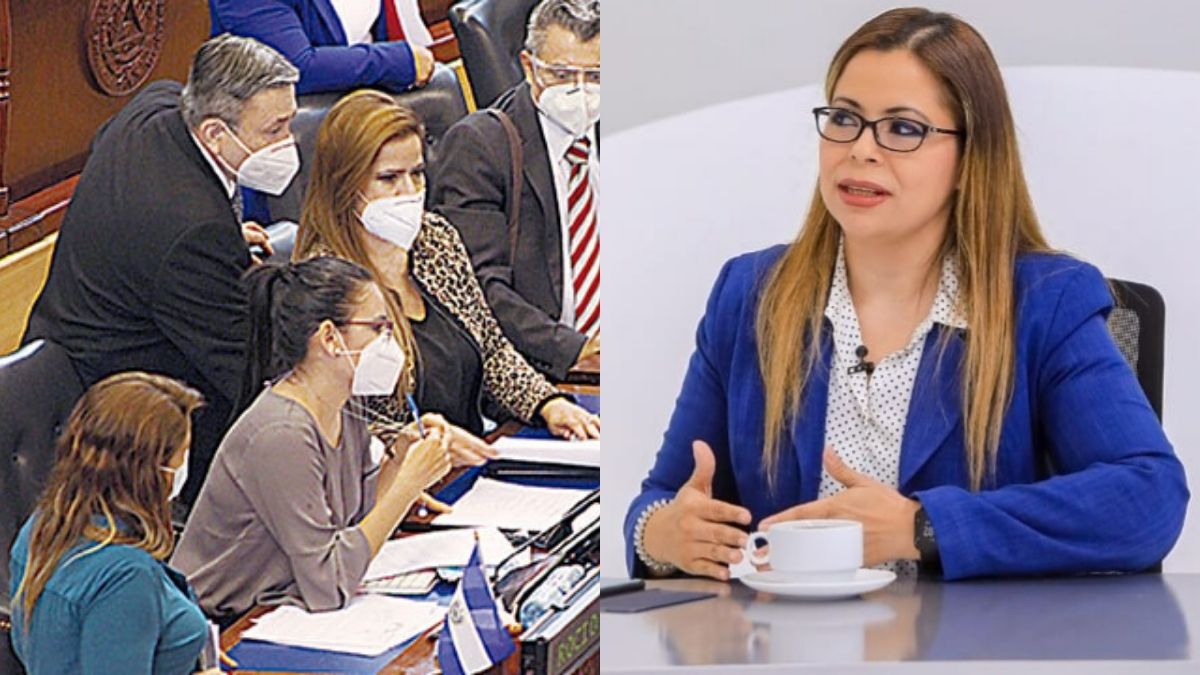 Tahnya Pastor contra Diputados