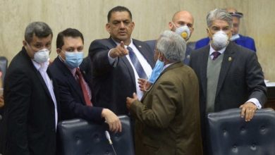bono diputados