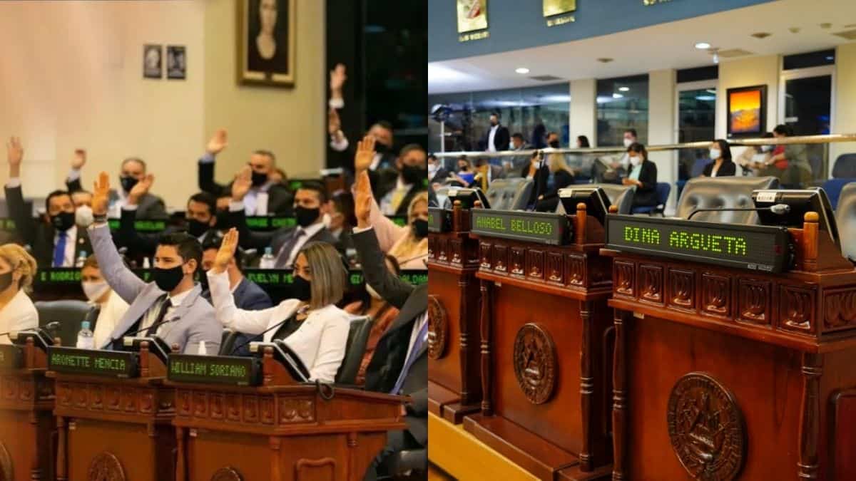 DIPUTADOS CYAN-min