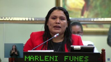 Diputada FMLN