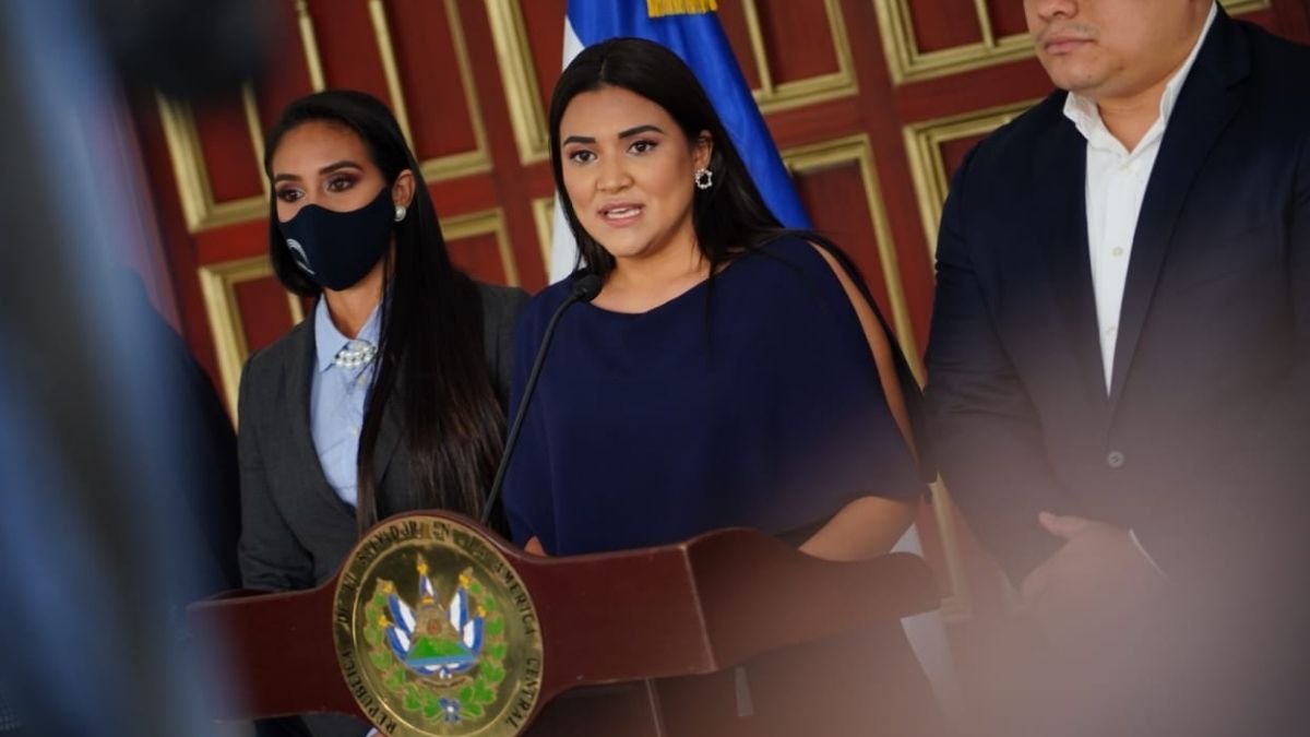 Diputados de Ni instalan comision de investigación para ongs fachadas