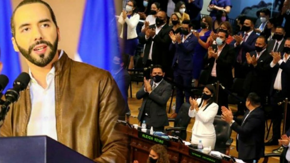 NAYIB ASAMBLEA