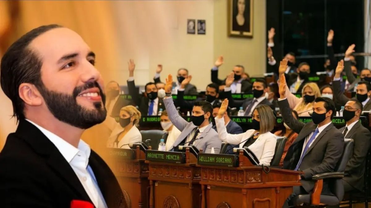 Nayib diputados
