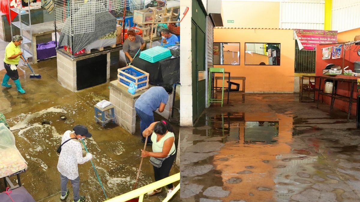 OLOCUILTA MERCADO