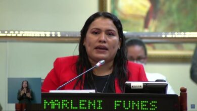 diputada del FMLN