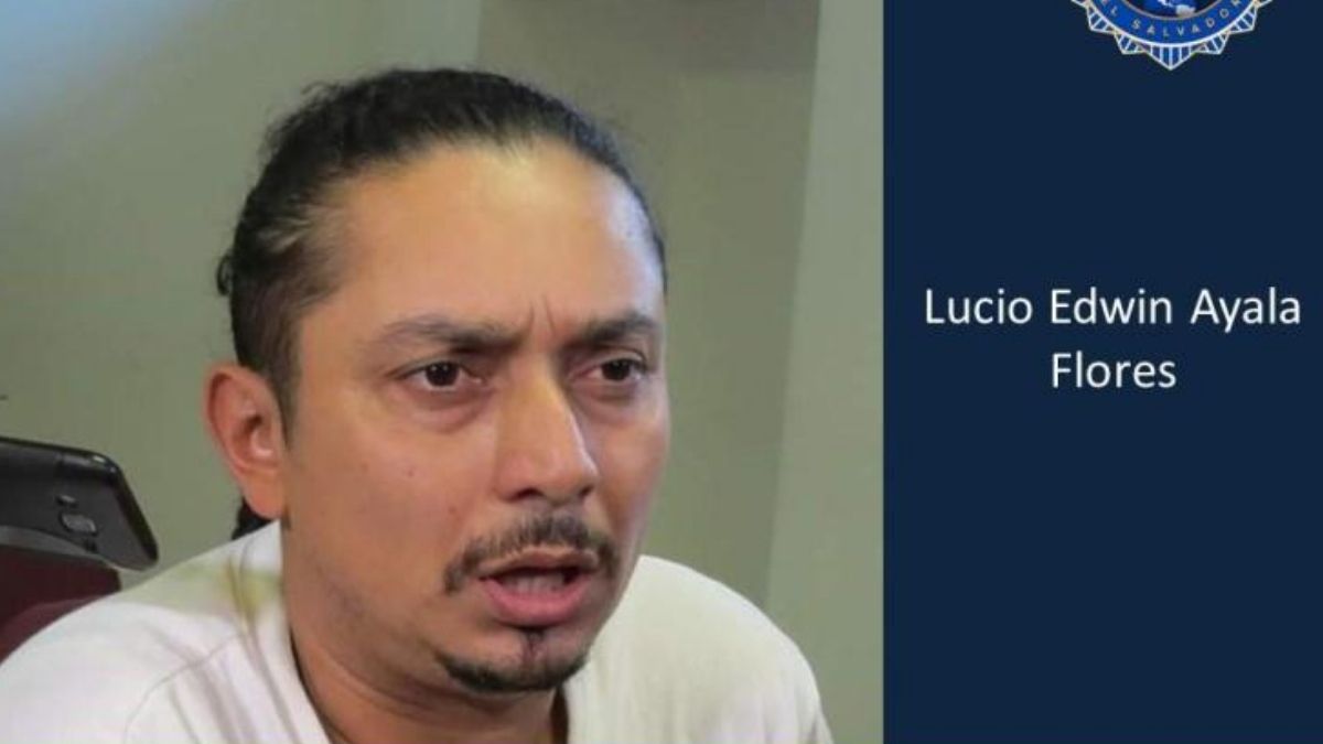 ALCALDE