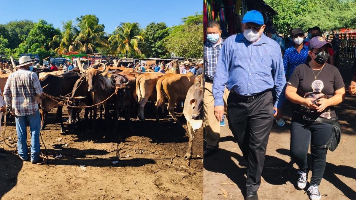 Damiris Leiva genera intercambio para potenciar el agro