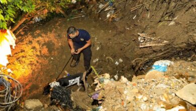 Encuentran presunto cuerpo de Flor García