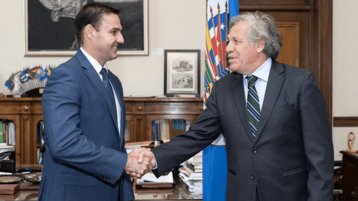 Ernesto Muyshondt asesor de la OEA