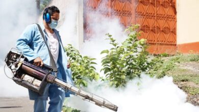 Gobierno realiza campañas de fumigación