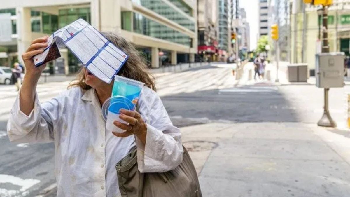 Ola de calor