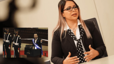 Analista política «Es un insulto que se diga que el Presidente fue un placero por su discurso del 1 de Junio»