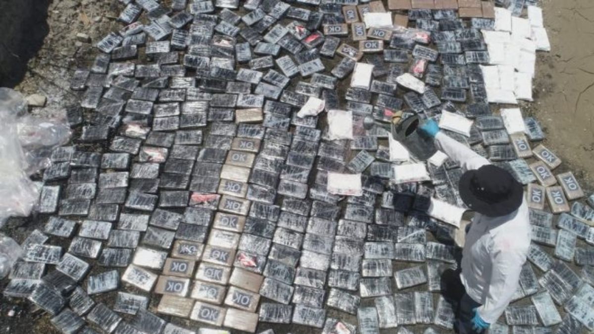 Mas de 700 kilos de cocaína incautados a través de operativos a escala nacional fueron destruidos este día