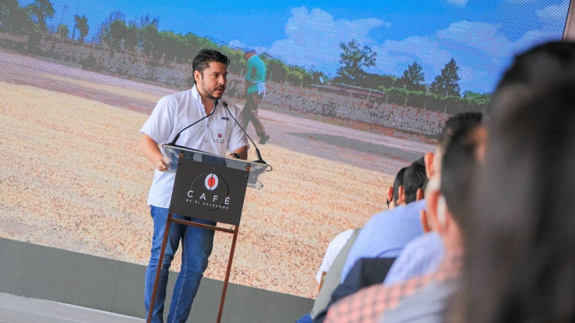 Café Salvadoreño posicionará al país como una potencia en la misma industria