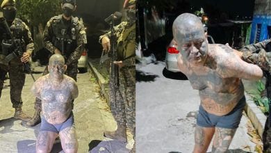 El Guerrillero