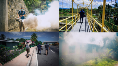 Herbert Rodas lidera jornada de fumigación