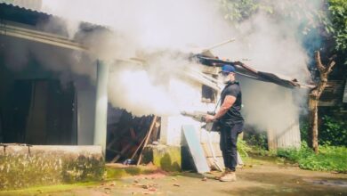 Diputado Herbert Rodas Intensifica jornada de fumigación