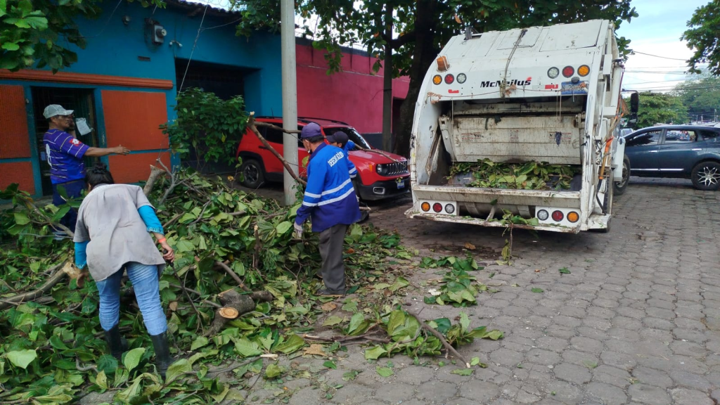 poda preventiva de árboles y recolección de desechos sólidos en la 18 Avenida y Avenida Fray Felipe de Jesús Moraga.